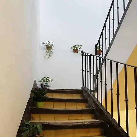 Lobos Granada